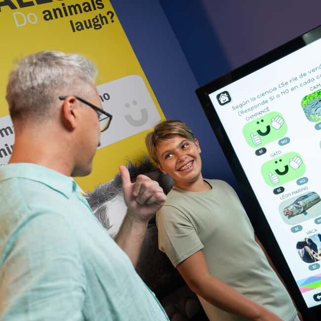 Madrid: Happiness Museum Interactive Experience Ticket - Final Thoughts