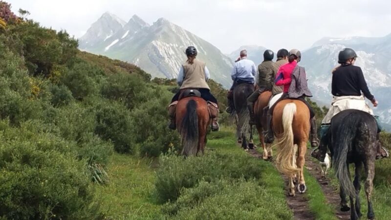 Madrid: Horse Riding in Sierra del Guadarrama National Park - Authentic Experiences and What Travelers Say