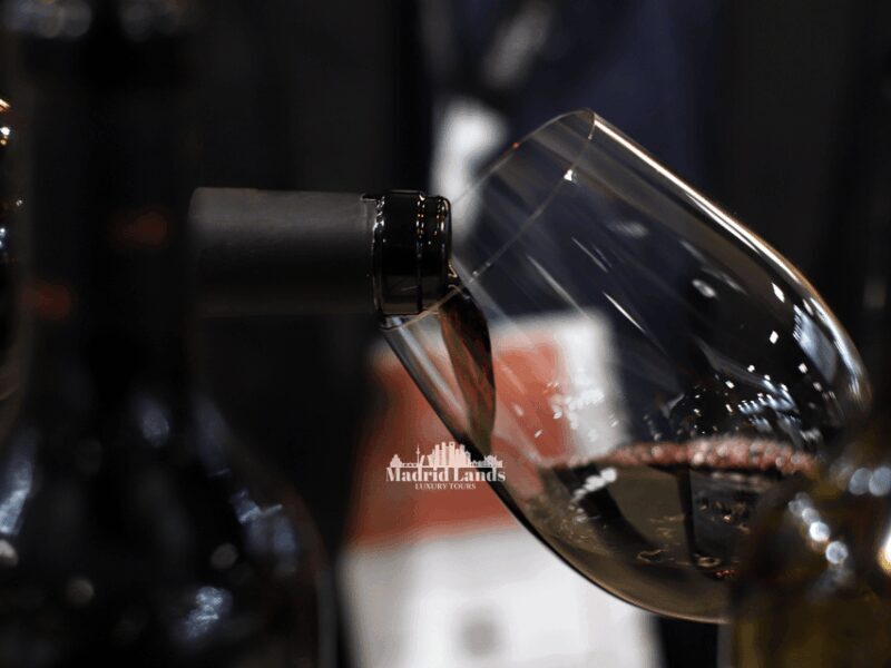 Madrid: Luxury Winery Emilio Moro Tour - A Detailed Look at the Emilio Moro Luxury Tour