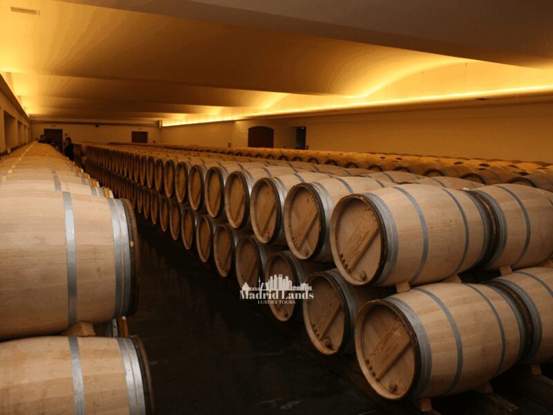 Madrid: Luxury Winery Emilio Moro Tour - Final Thoughts