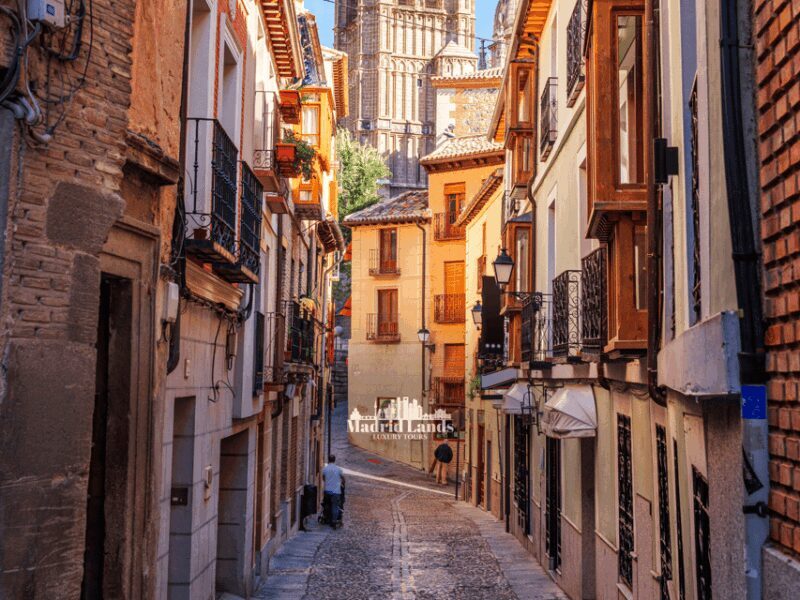 Madrid: Luxury Winnery & Toledo Tour - Who Should Consider This Tour?