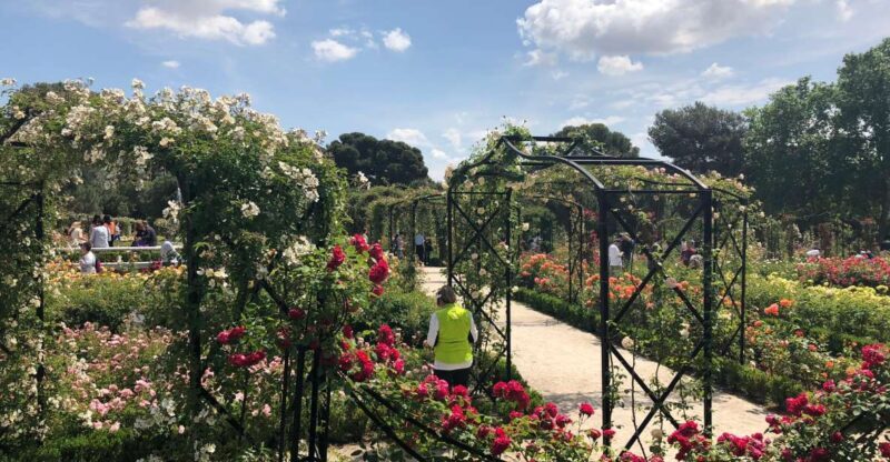 Madrid: Prado Avenue and Retiro Park Guided Walking Tour - A Deep Dive into the Madrid: Prado Avenue and Retiro Park Tour