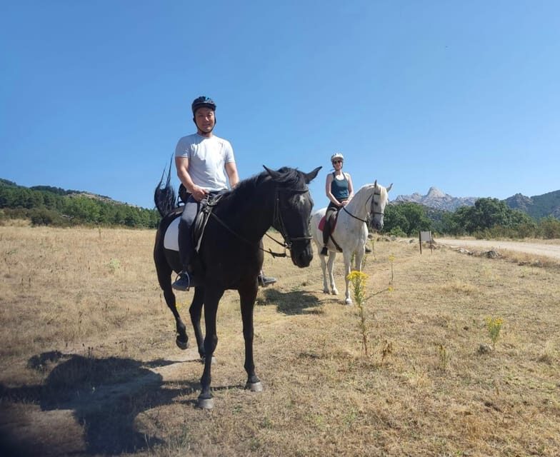 Madrid: Private Horseback Riding in Pedriza NP & Transport - Final Thoughts: Is It Worth It?