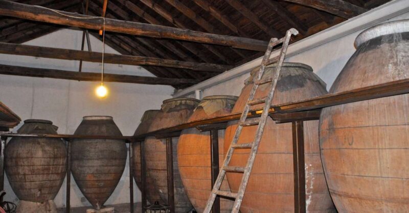 Madrid: Regional Madrid Wineries Guided Tour and Tastings - Final Thoughts