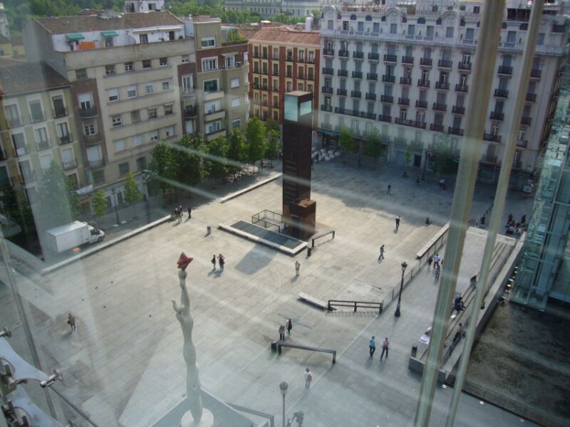 Madrid: Reina Sofia Museum Private Tour with Skip-the-Line - Practical Aspects