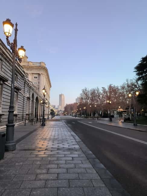 Madrid: Royal Palace Private Tour with Tickets - Who Would Love This Tour?