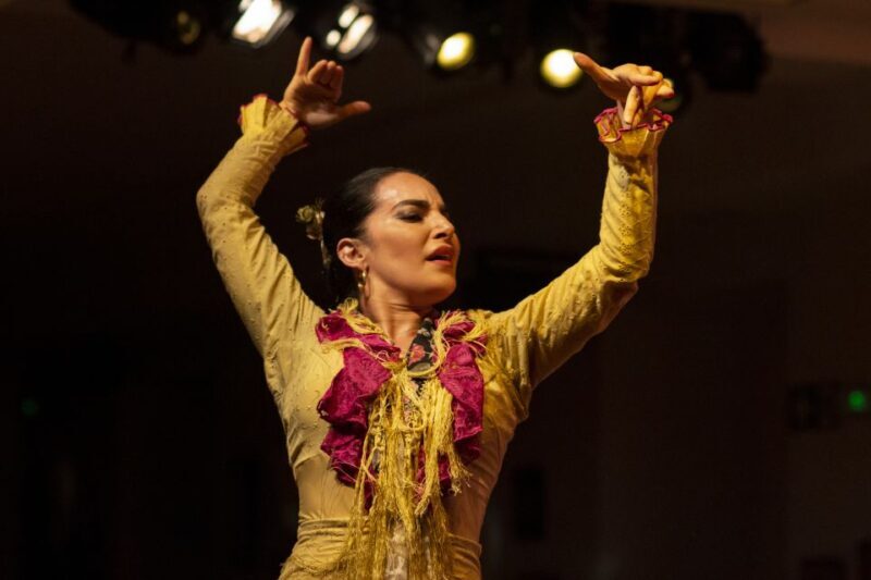 Madrid: Tablao de La Villa Flamenco Show - A Genuine Look at the Flamenco Experience in Madrid