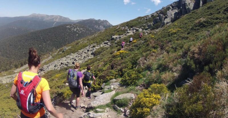 Madrid: Trail Running Day Trip - Key Points