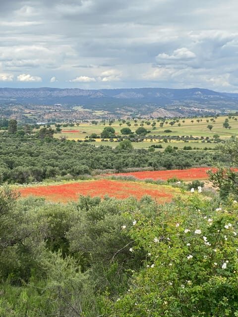 Madrid: Unspoiled Spain for Foodies & Nature s - Final Thoughts