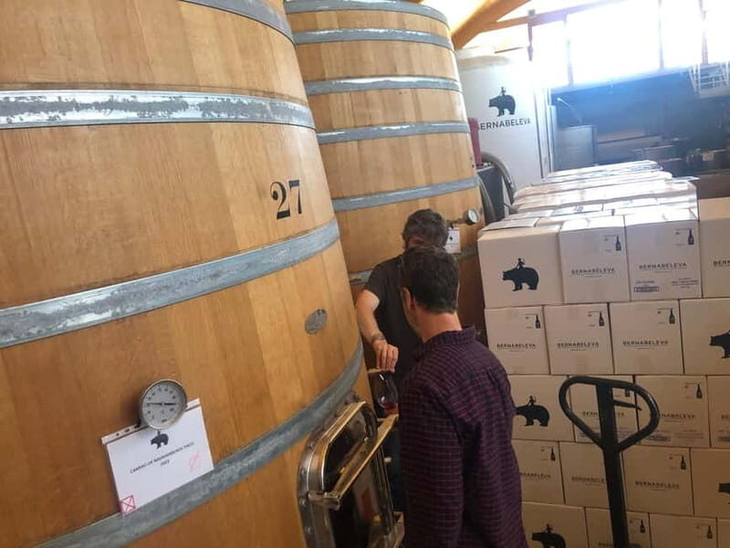Madrid Wine Tour: Discover Unique Local Wineries & Tastings - FAQs