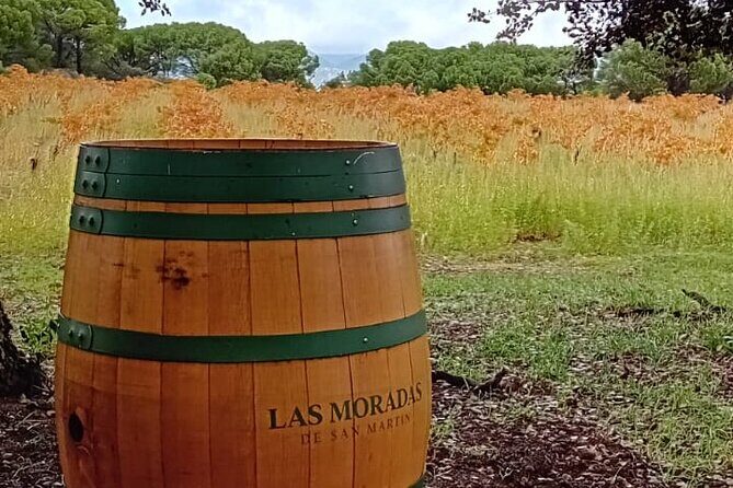 Madrid Wine Tour: Visit Two Wineries with Tastings - Authenticity and Value