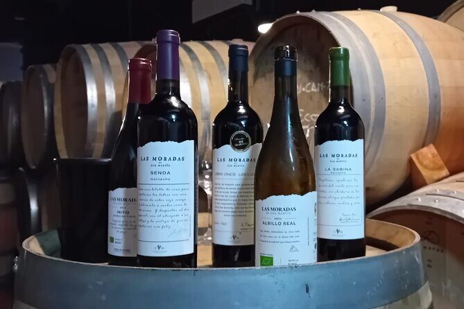 Madrid Wine Tour: Visit Two Wineries with Tastings - The Sum Up