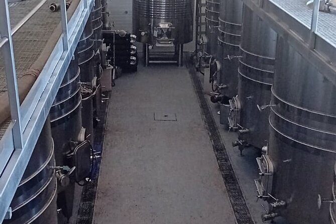 Madrid Wine Tour: Visit Two Wineries with Tastings - FAQ