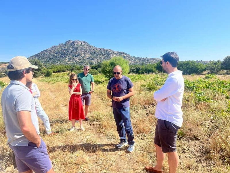 Madrid Winery Tour: Visit & Tasting With Sommelier Guide - Frequently Asked Questions