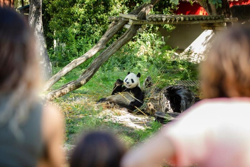 Madrid: Zoo Aquarium Madrid Ticket - Discovering the Madrid Zoo Aquarium: A Perfect Day for Animal Lovers