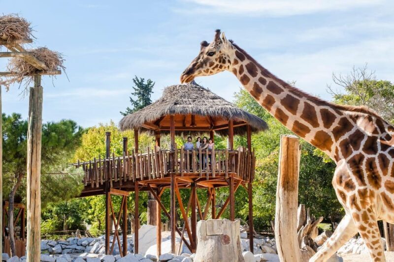 Madrid: Zoo Aquarium Madrid Ticket - The Sum Up: Is Madrid’s Zoo Aquarium Worth Visiting?