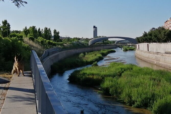 Madrids Golden Age: History along the Manzanares River - A Deep Dive into Madrid Río and Its Hidden Stories