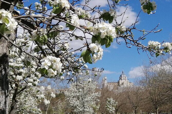 Madrids Golden Age: History along the Manzanares River - FAQ