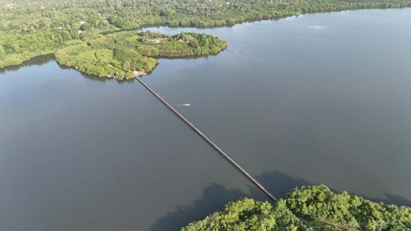 Madu River Boat Cruise & Cinnamon Garden All Inclusive Tour - Exploring Sri Lanka’s Madu River & Cinnamon Garden: A Practical Guide