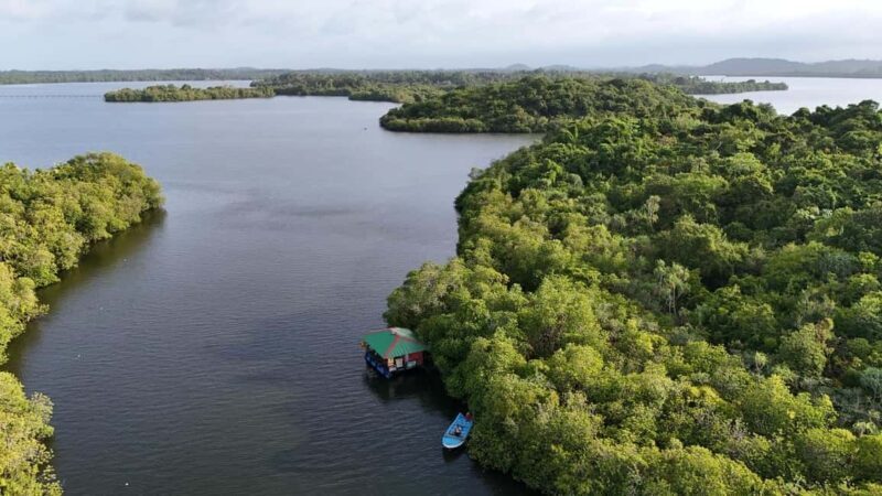 Madu River Boat Cruise & Cinnamon Garden All Inclusive Tour - Key Points