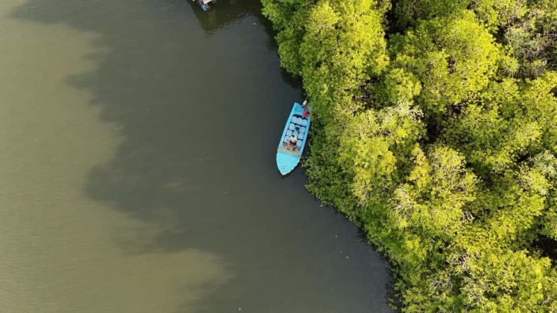 Madu River Boat Cruise & Cinnamon Garden All Inclusive Tour - Detailed Itinerary Breakdown