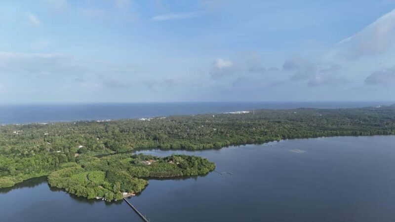 Madu River Boat Cruise & Cinnamon Garden All Inclusive Tour - Who Will Love This Tour?