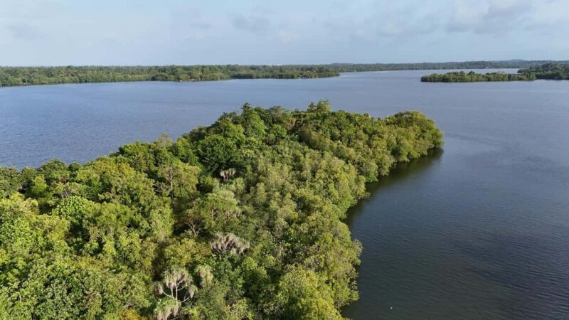 Madu River Boat Cruise & Cinnamon Garden All Inclusive Tour - Summing It Up