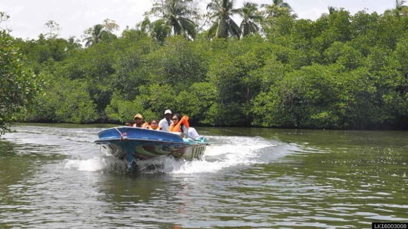 Madu River Boat Safari: A Journey Through Nature's Paradise - Authenticity and Value