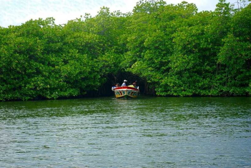 Madu River Boat Safari: A Journey Through Nature's Paradise - The Sum Up: Is the Madu River Boat Safari Worth It?