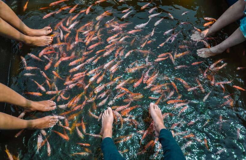 Madu River Boat Safari - What Makes This Tour Special?