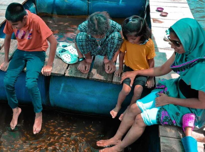 Madu River Boat Safari - How Does the Price Reflect the Experience?