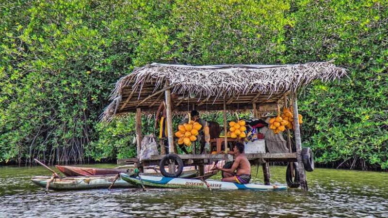 Madu River Boat Safari - Who Will Love This Tour?