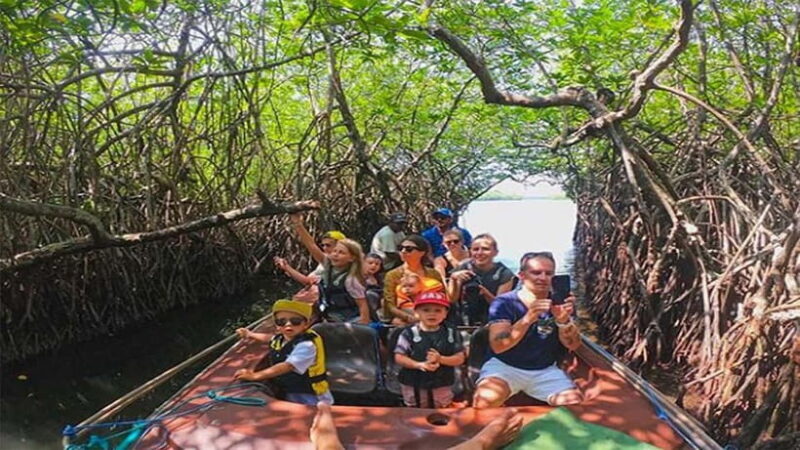 Madu River Boat Tour and Cinnamon Garden visit - Madu River Boat Tour and Cinnamon Garden Visit: A Practical Guide