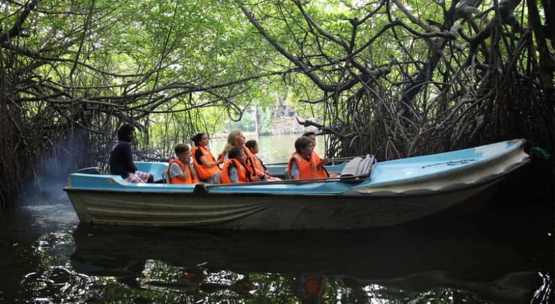 Madu River Boat Tour and Cinnamon Garden visit - Key Points