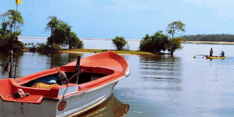 Madu River Boat Tour and Cinnamon Garden visit - What Travelers Say