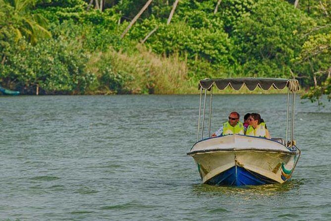Madu River Safari at Balapitiya - A Detailed Look at the Madu River Safari