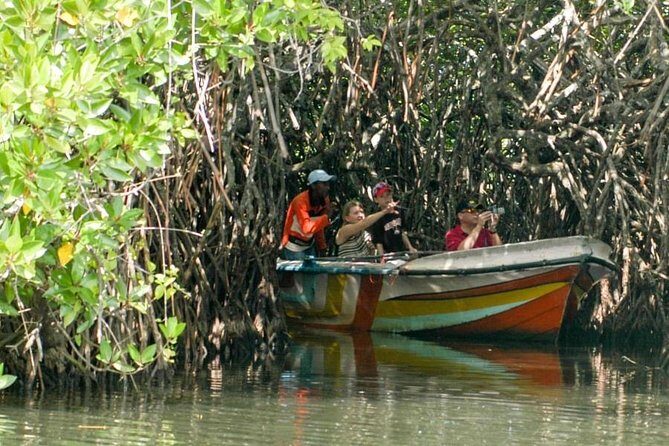 Madu River Safari at Balapitiya - FAQ