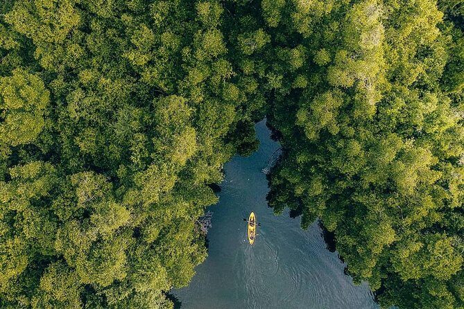 Madu River Sunrise Mangrove Kayaking - Who Should Consider This Tour?