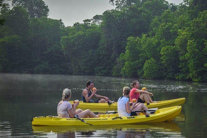 Madu River Sunrise Mangrove Kayaking from Bentota - FAQ