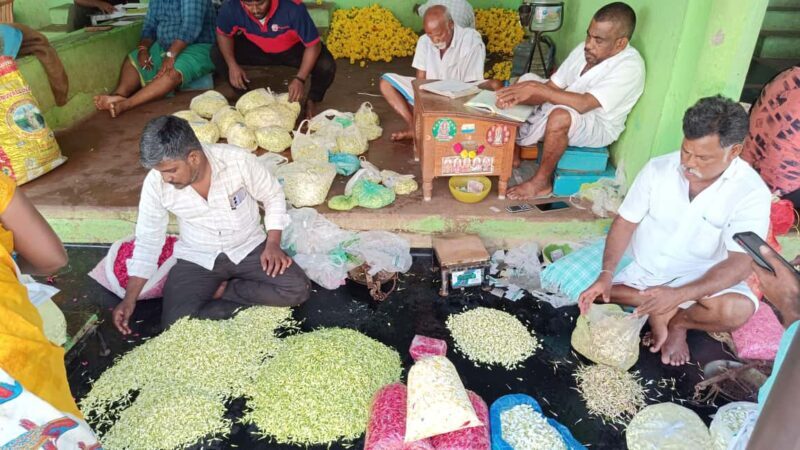 Madurai: Private Guided Day Tour  Highlights & Hidden Gems - Who Would Love This Tour?