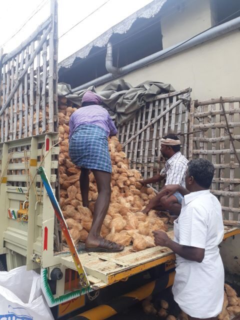 Madurai Rickshaw Ride Tour: Unveil the Hidden Gems - The Sum Up