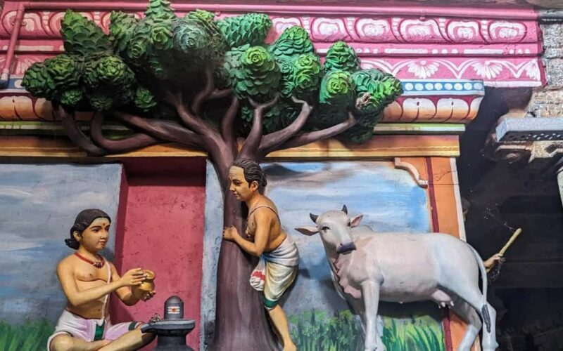 Madurai to Navagraha One Day Temple Tour - The Sum Up