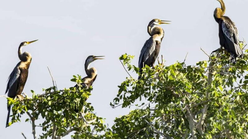 Maduru Oya National Park Private Safari - Exploring Maduru Oya National Park: What to Expect