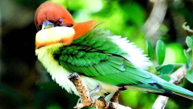 Maduru Oya National Park Private Safari - Authentic Experiences from Visitors