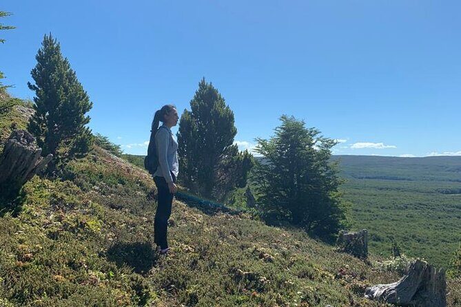 Magallanes National Reserve and Punta Arenas City Tour - Key Points