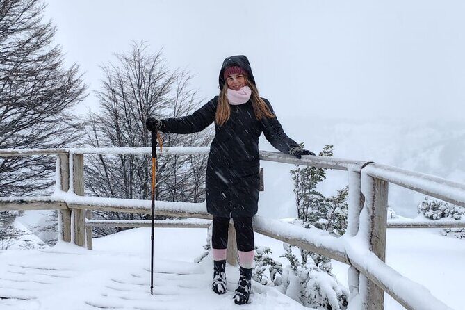 Magallanes National Reserve and Punta Arenas City Tour - Exploring the Magallanes National Reserve