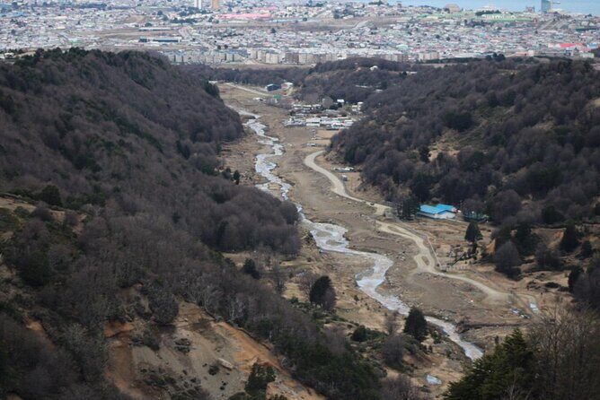 Magallanes National Reserve and Punta Arenas City Tour - Palacio Sara Braun: A Glimpse into Local Elegance