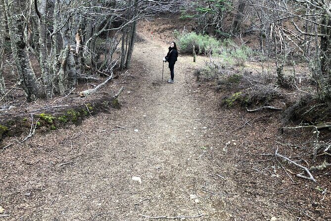 Magallanes National Reserve and Punta Arenas City Tour - Transportation and Overall Experience