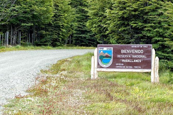 Magallanes National Reserve Hiking from Punta Arenas - Who Should Consider This Tour?