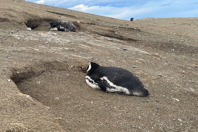Magdalena Island Navigation - Key Points